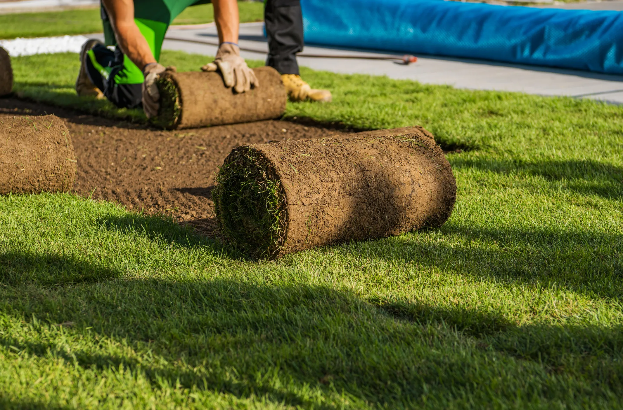 Sod Installation In Allen, TX, And Surrounding Areas | Whale Done Sprinklers & Irrigation