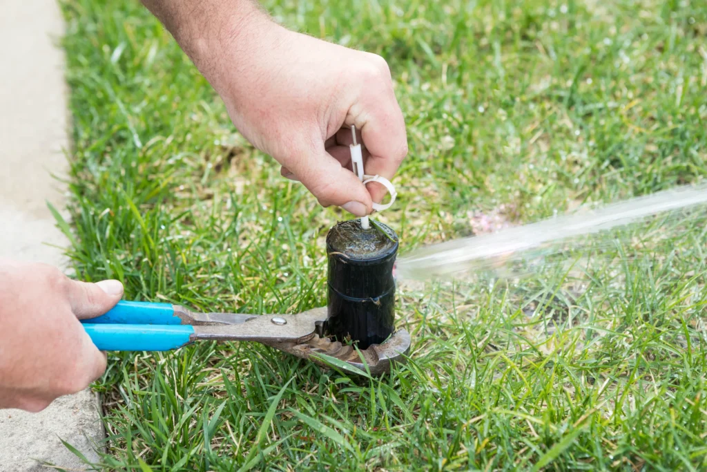 Sprinkler Installation In Irving, TX, And Surrounding Areas | Whale Done Sprinklers & Irrigation