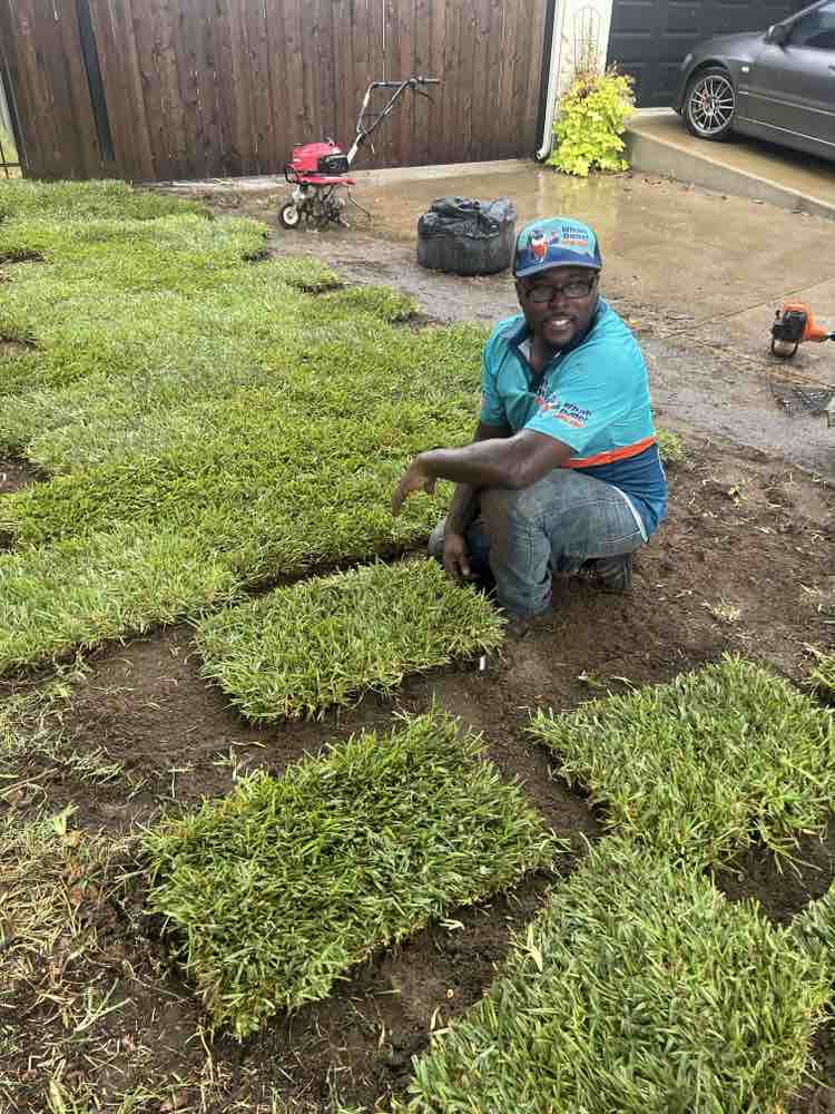 Fresh Sod installation