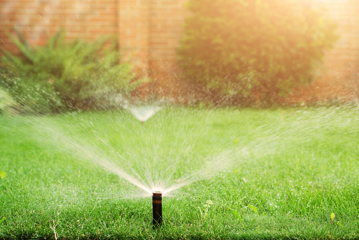 Whale Done Sprinkler technician adjusting a sprinkler nozzle to improve lawn irrigation, Mckinney, Tx.