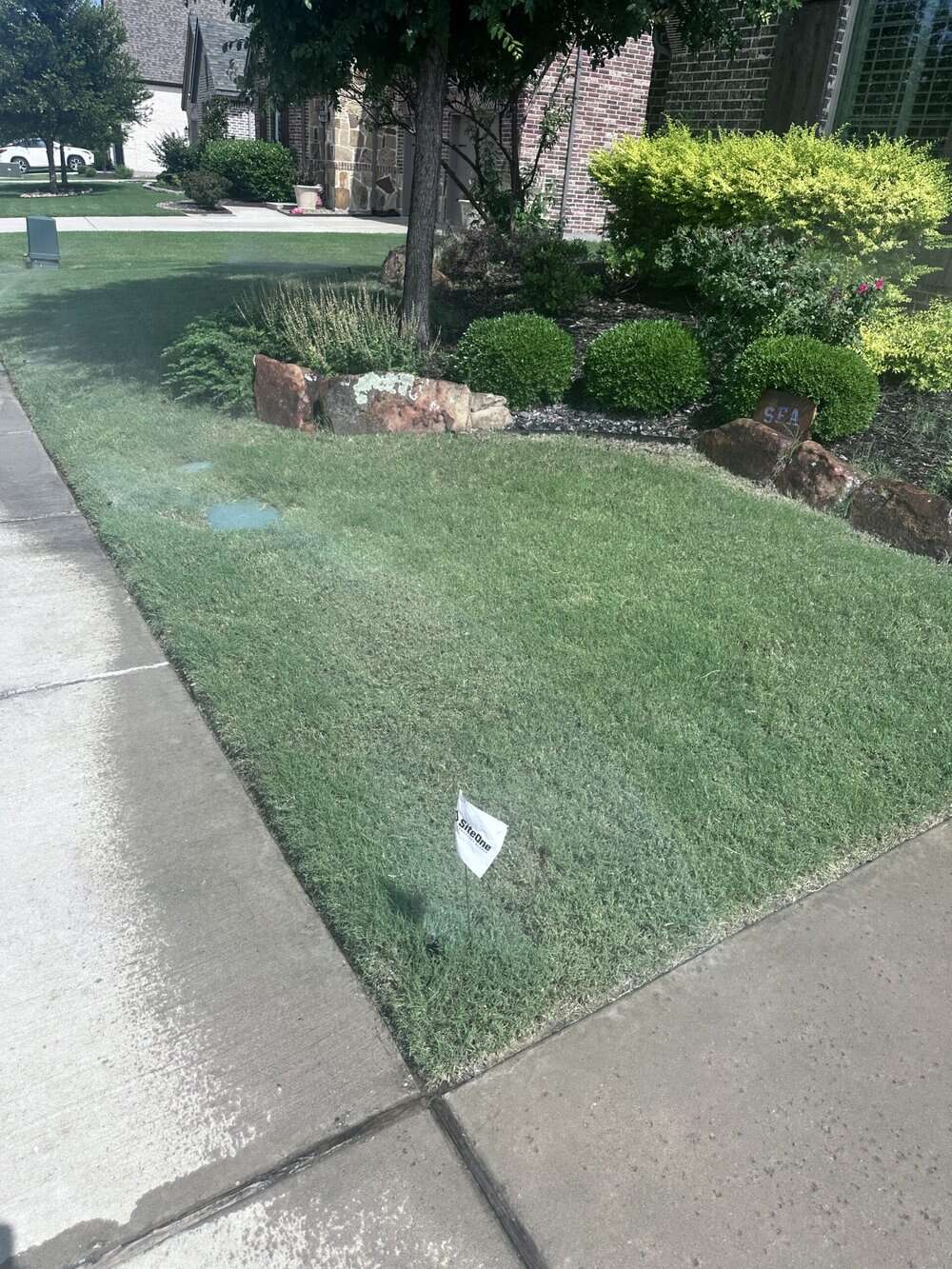 Professional New Lawn Installation