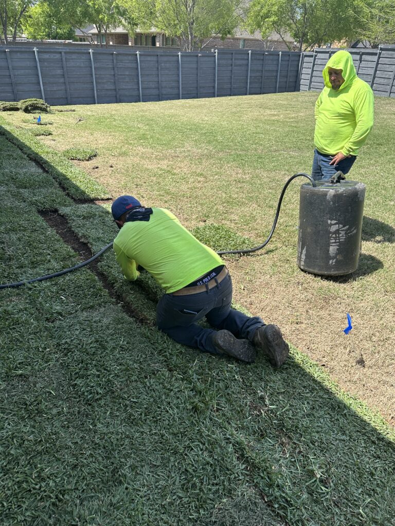 Professional Sod Installation