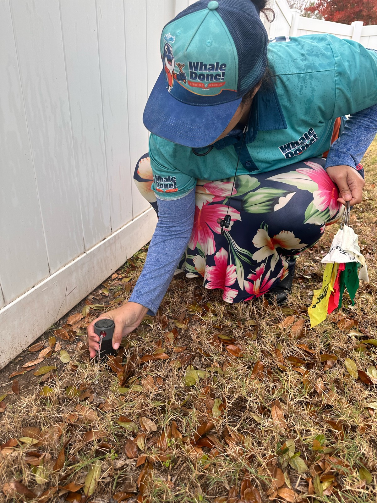 Sprinkler system inspection