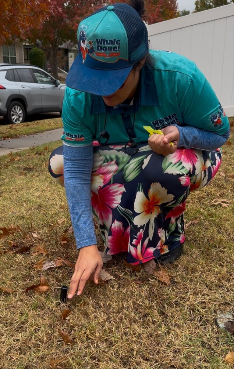 sprinkler lawn repair in anna