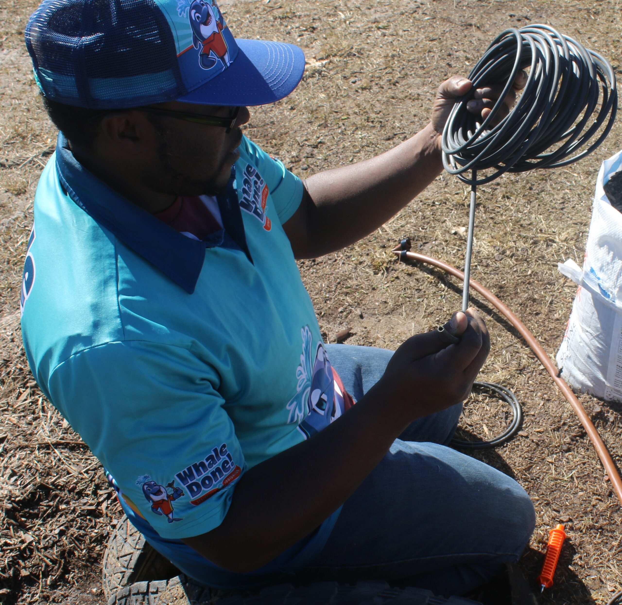 sprinkler lawn repair in celina