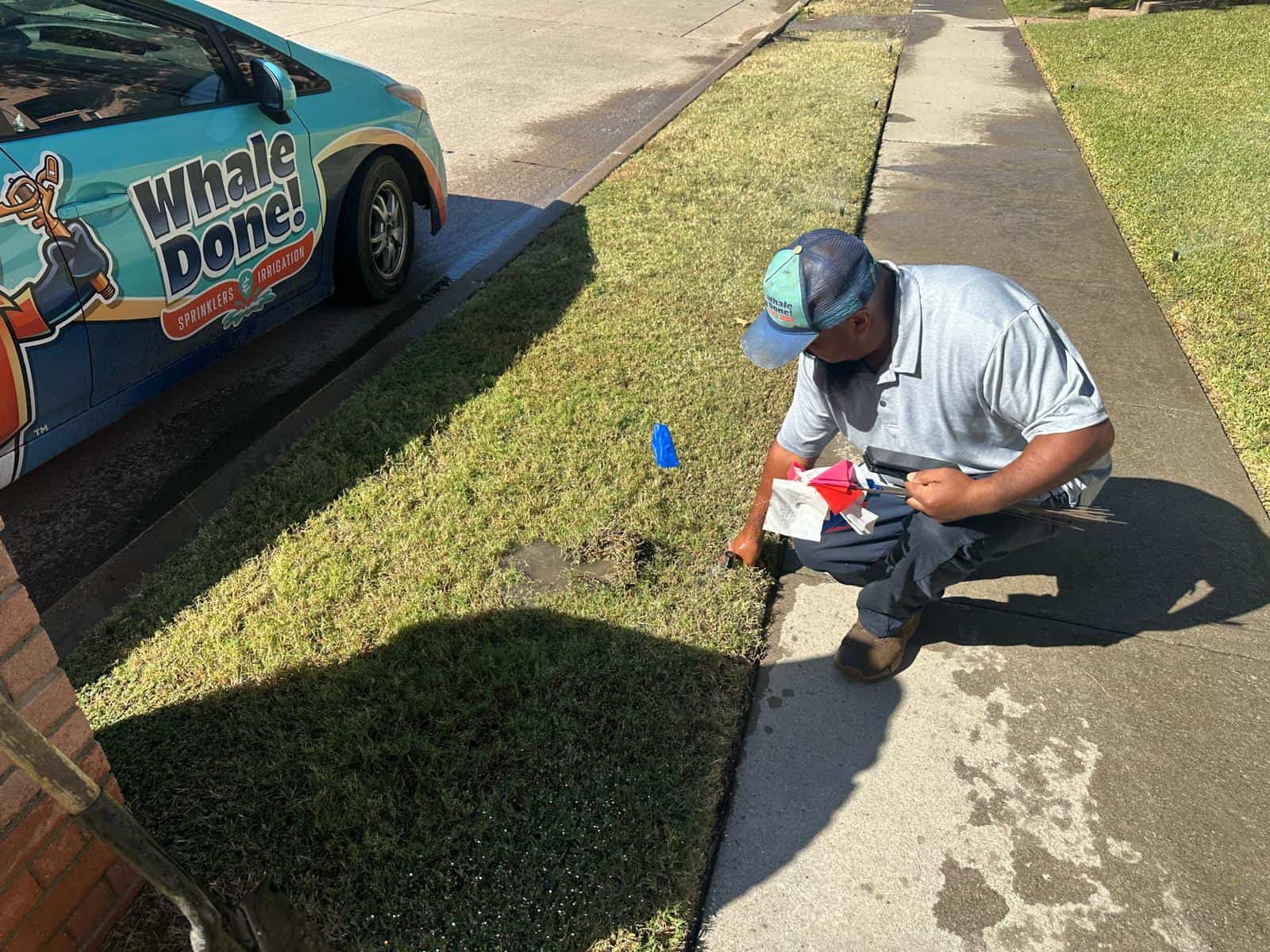 Sprinkle System Inspection in Allen