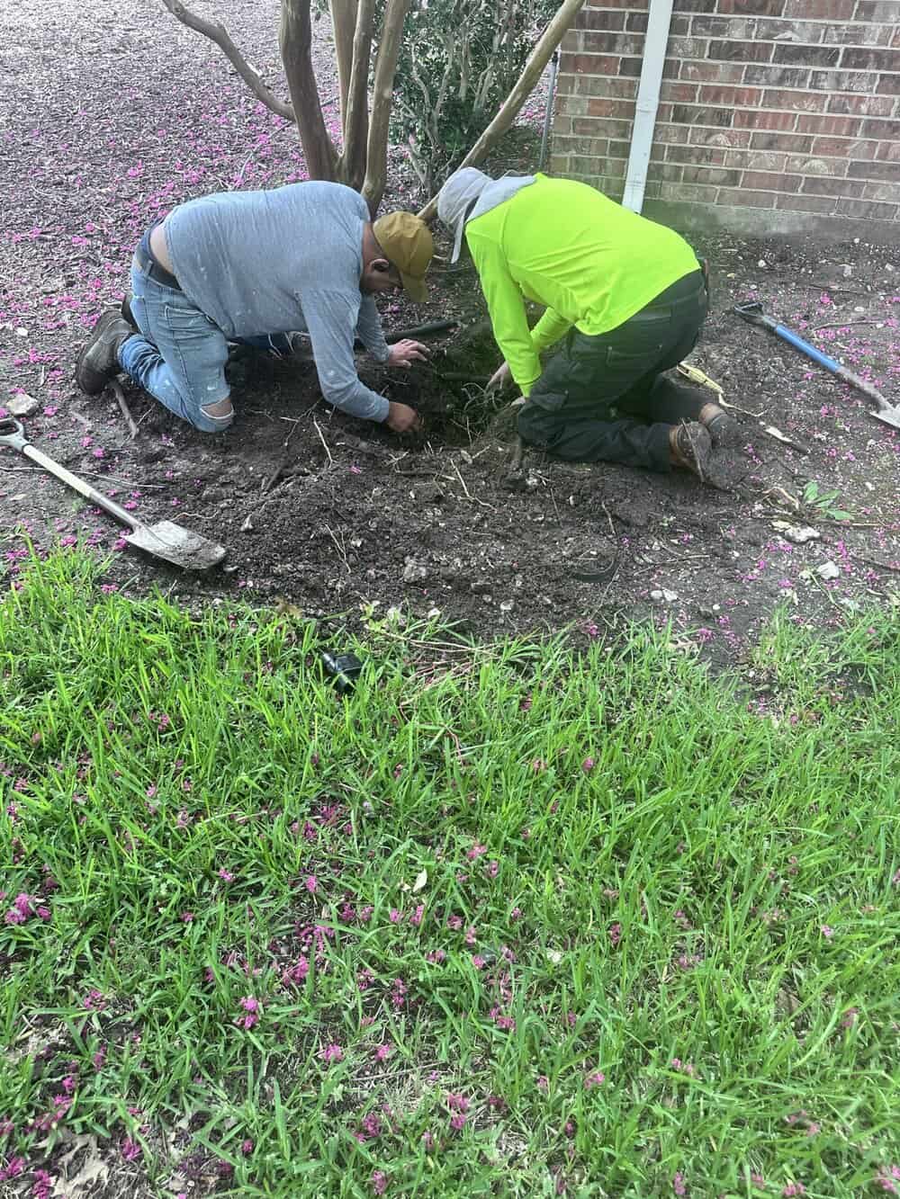 French Drain in Aubrey TX