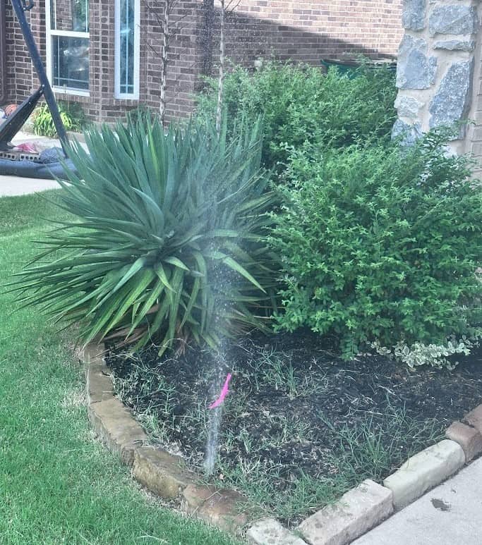 Sprinkler System Check in Prosper TX