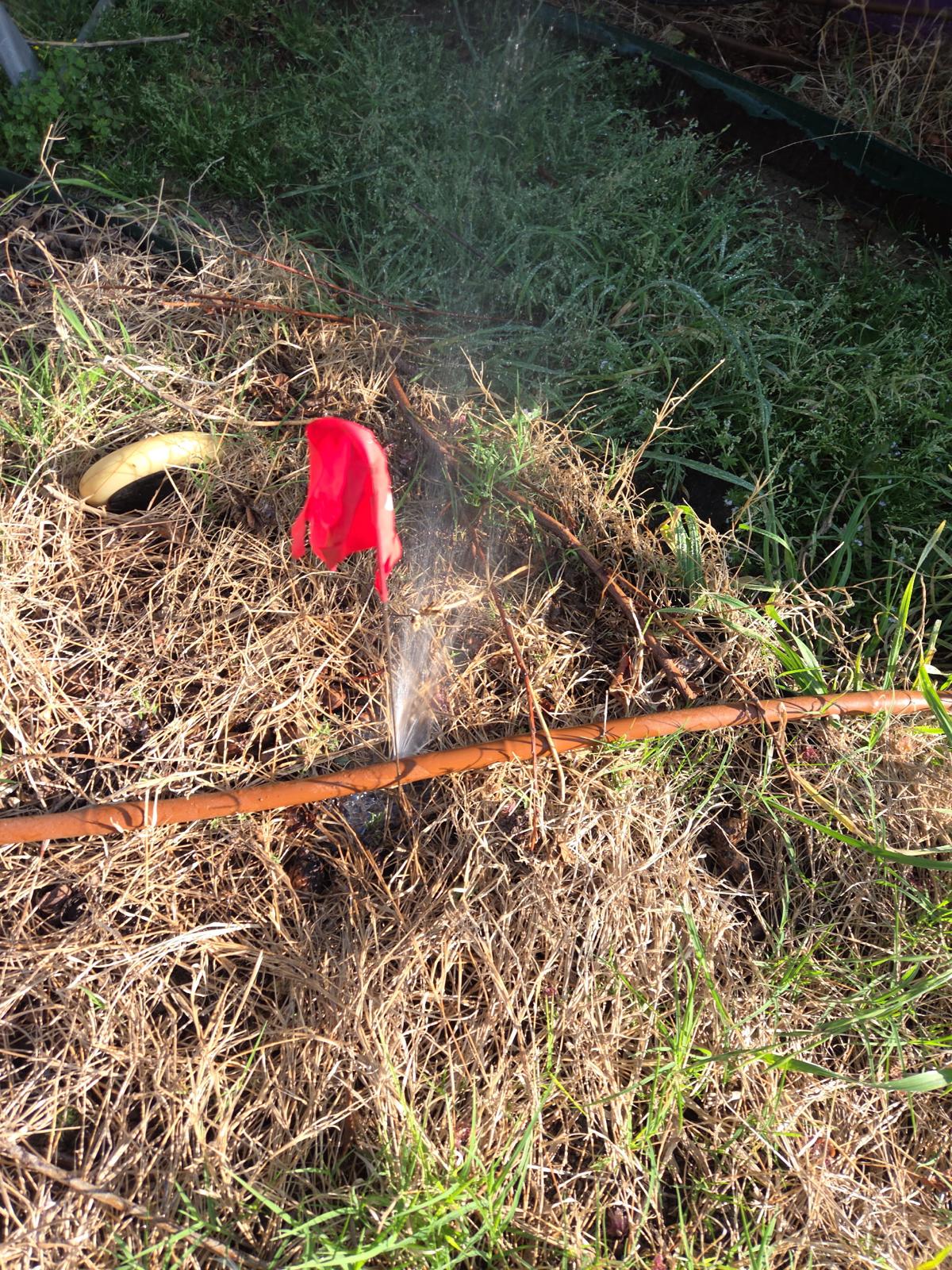 Sprinkler System Inspection in Melissa