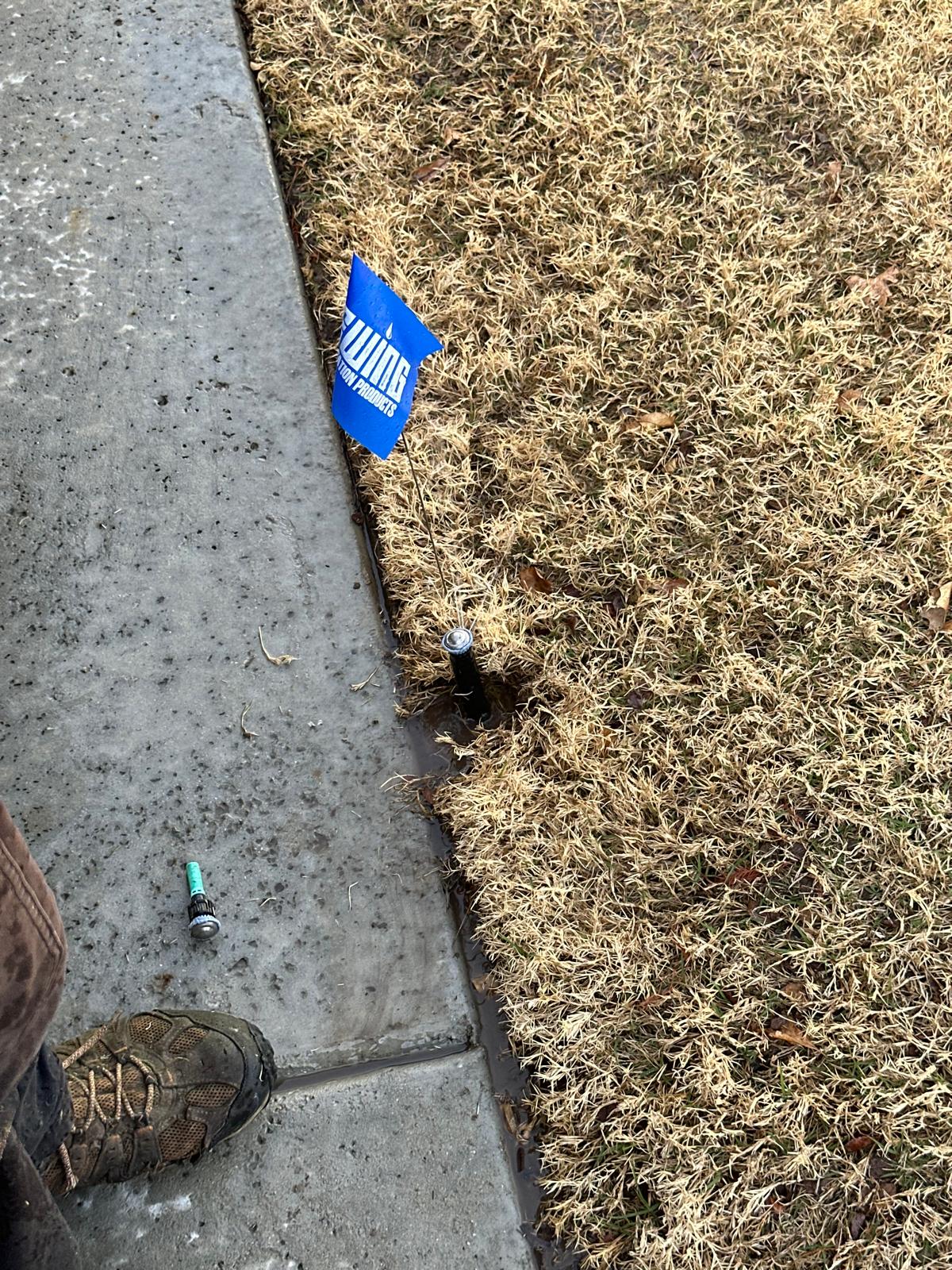 Sprinkler system inspection in Prosper