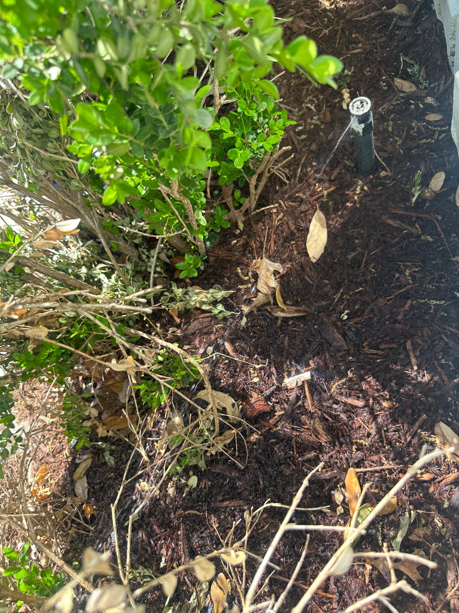 Drip Irrigation in Anna TX