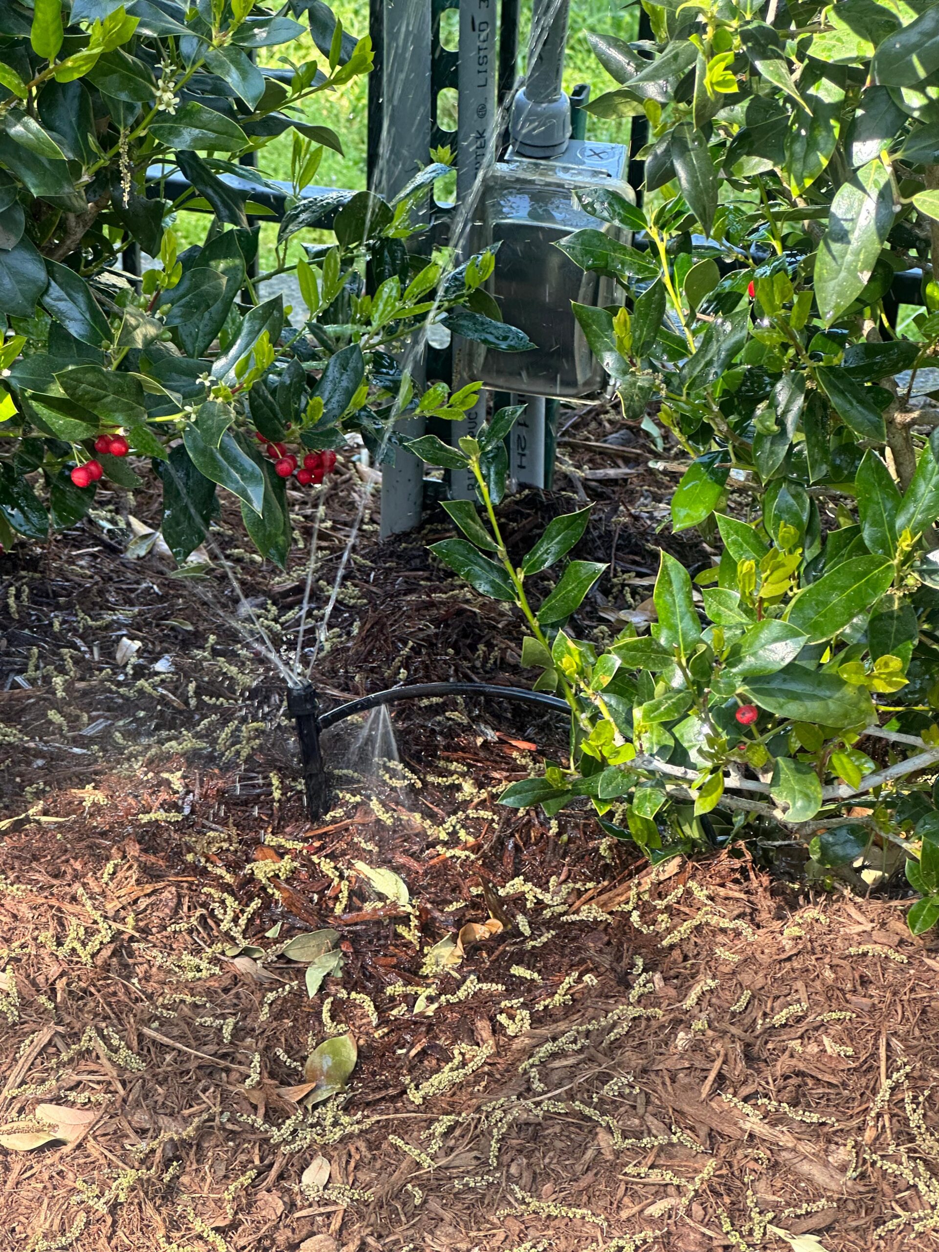 Drip Irrigation in Plano TX