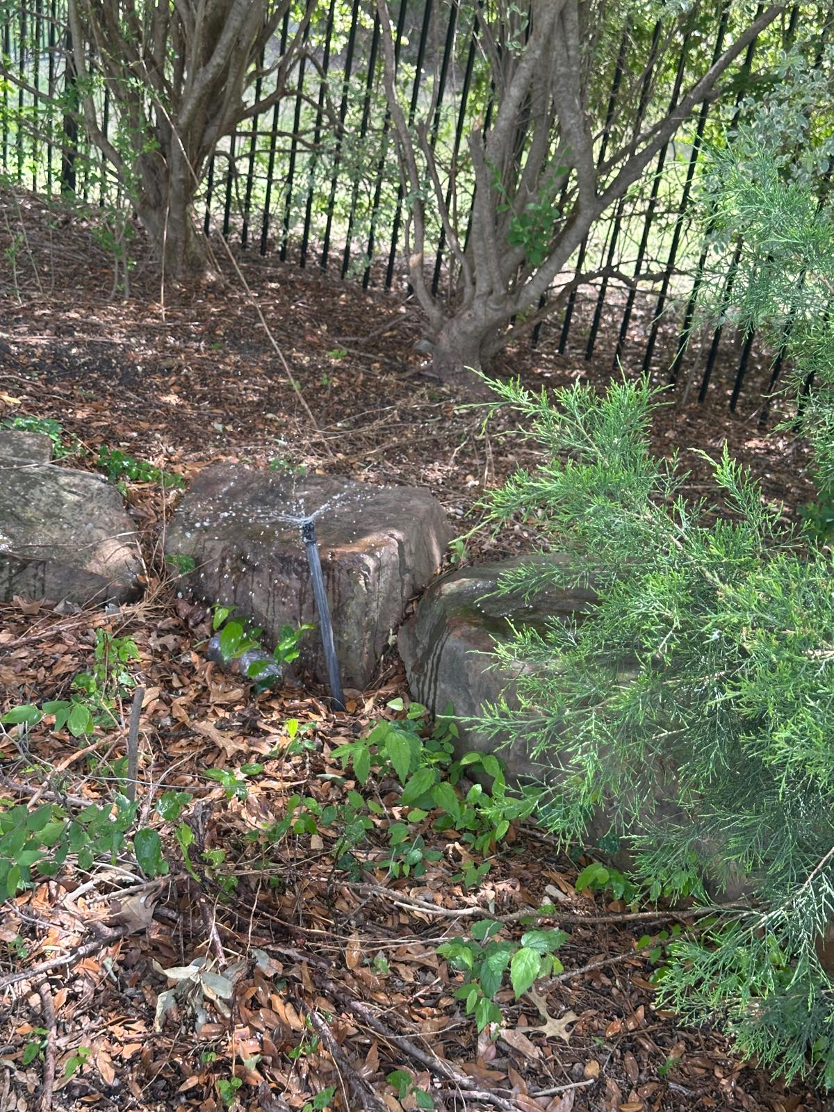 Irrigation Drip in McKinney TX