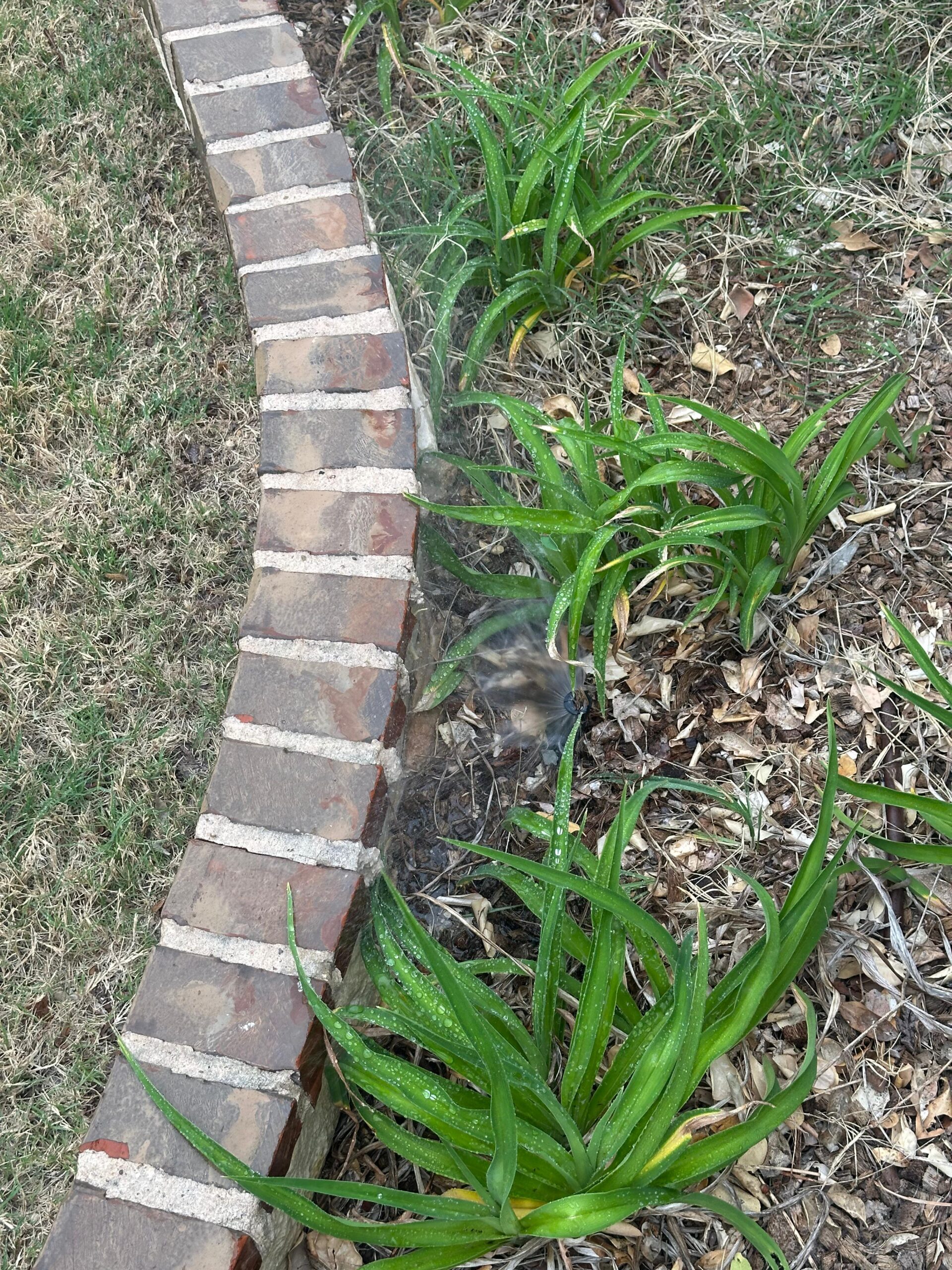 Irrigation Drip in Anna TX
