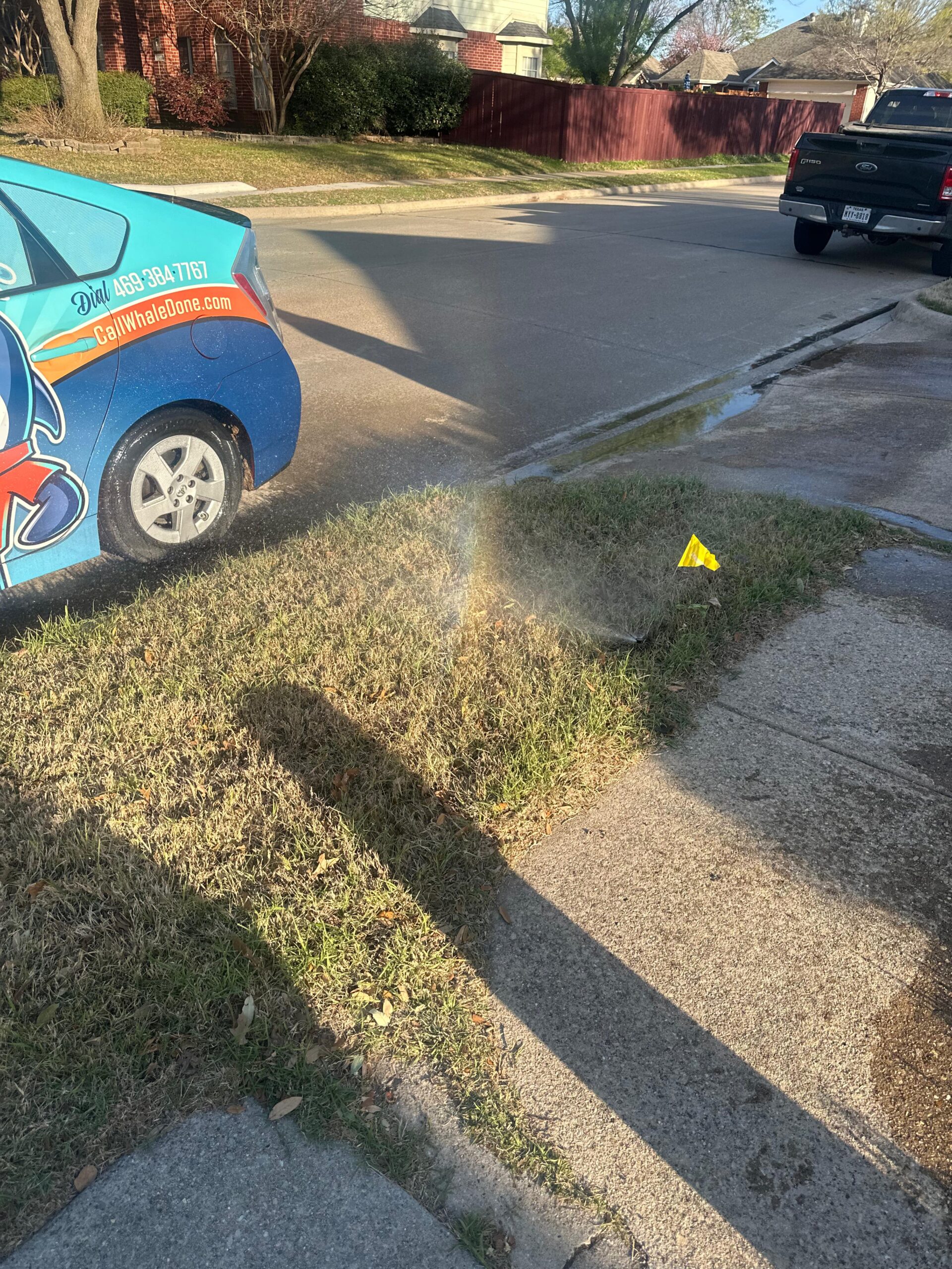 Irrigation System Check in Allen TX