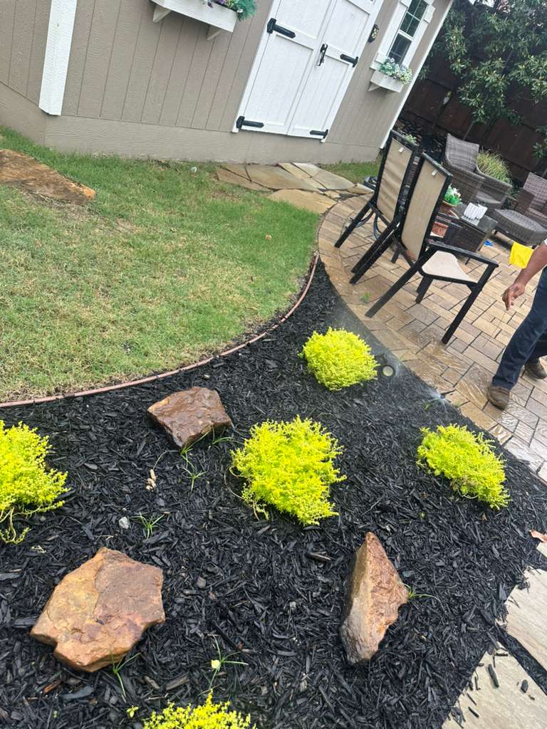 Irrigation System Check in Frisco TX