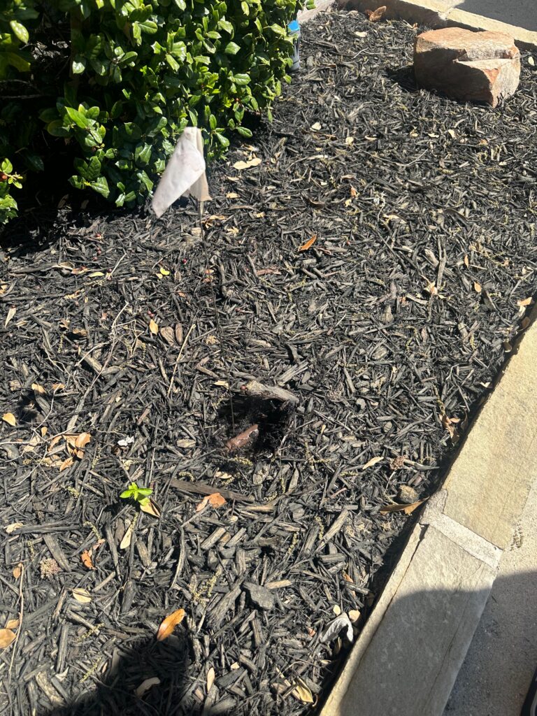 Drip Leak Repair in Celina TX