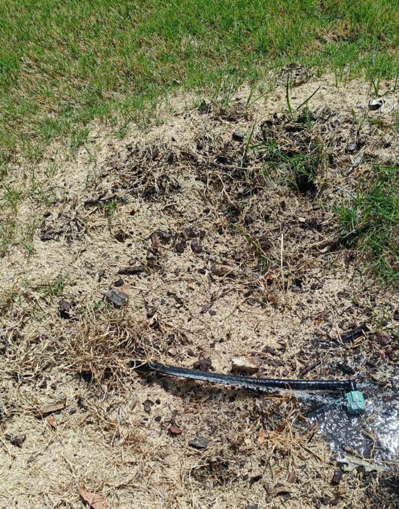 Drip Leak in Celina TX