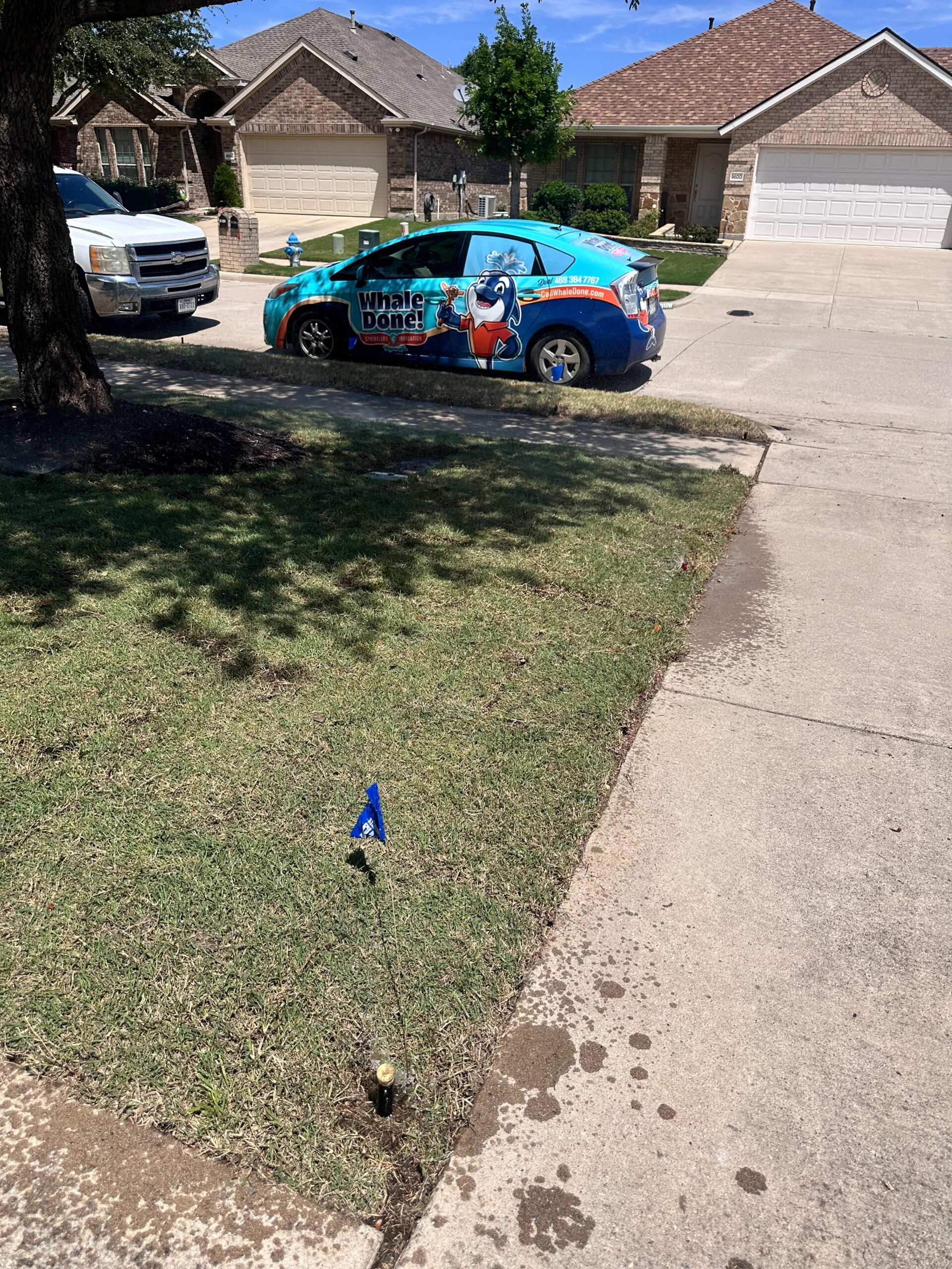 Irrigation Drip Company in Frisco TX