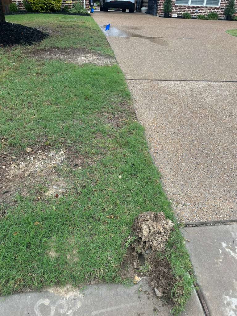 Sprinkler Leaks in Celina TX