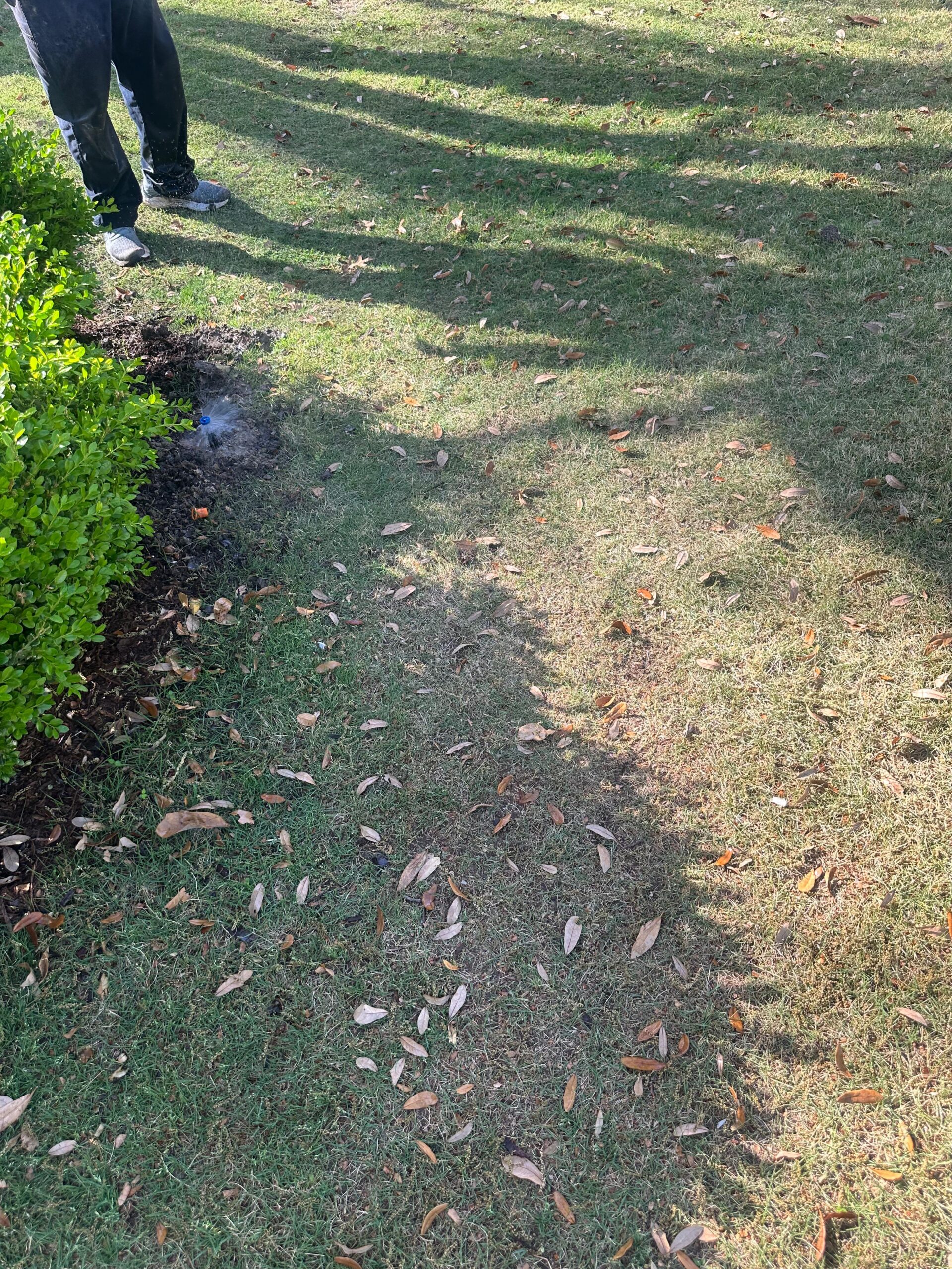 Sprinkler Leaks in McKinney TX