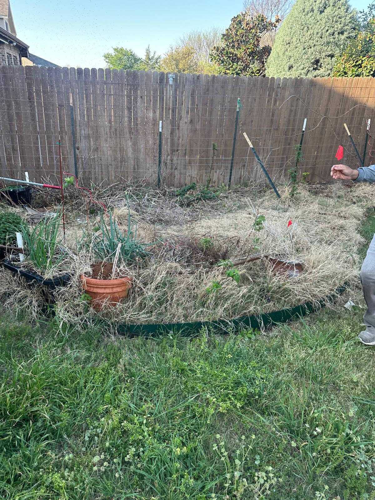 Drip Irrigation Company in Plano TX