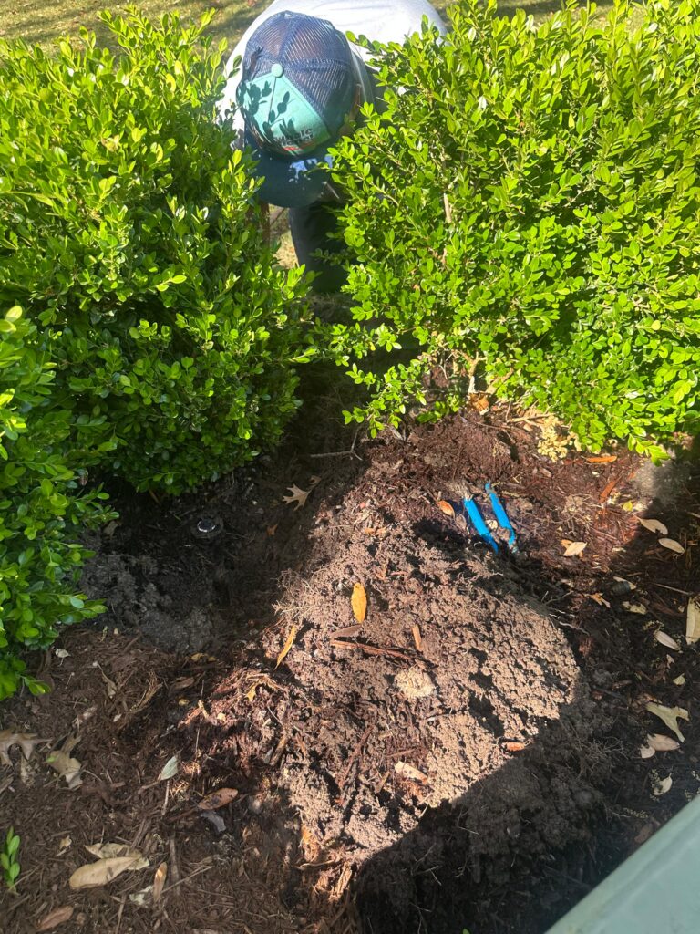 Irrigation System Leaks in Prosper TX