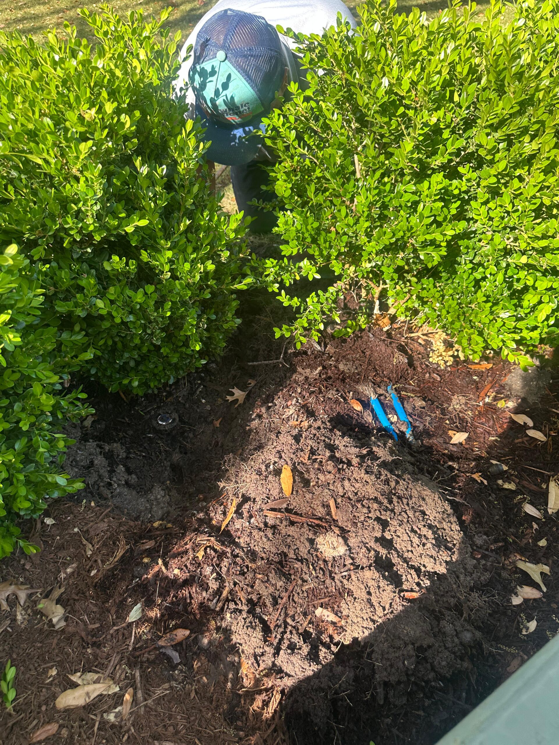 Irrigation System Leaks in Prosper TX