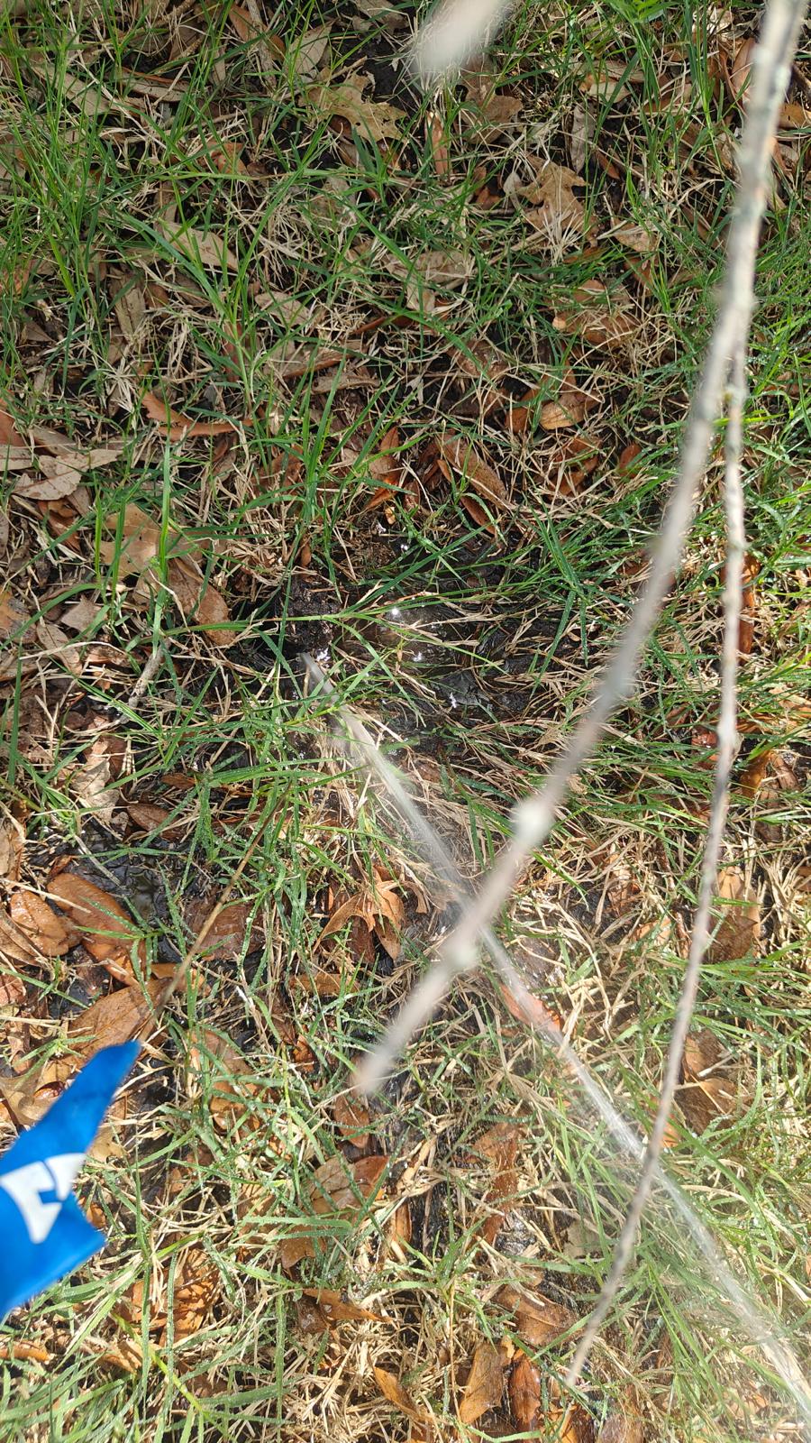 Leaking Sprinkler Heads In Oak Point TX