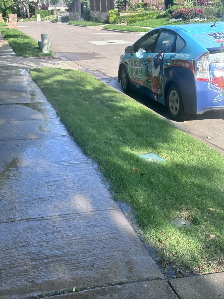 Rainwater in Fairview TX