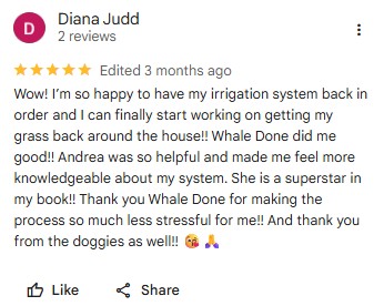 customer reviews2