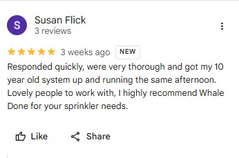 customer reviews1