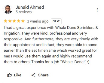customer reviews5