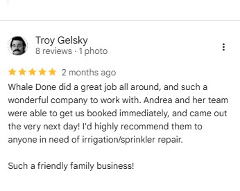 customer reviews4