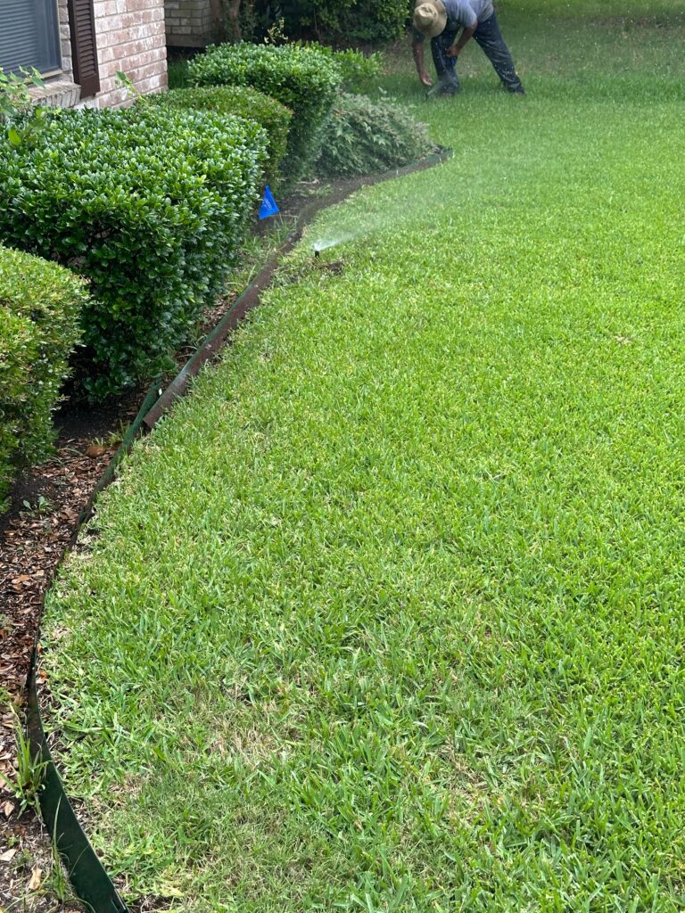 Soggy Lawn in Wylie TX