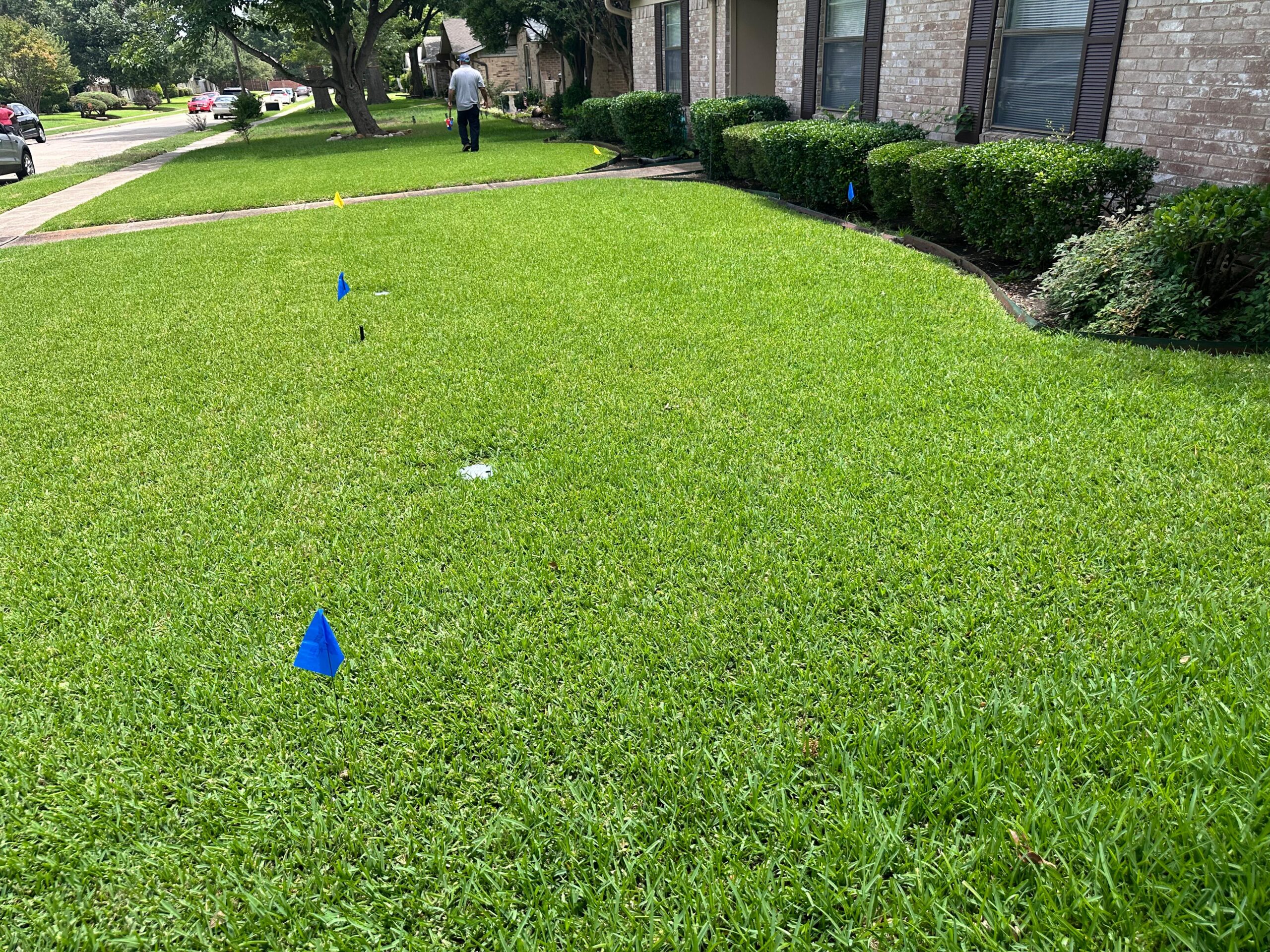 Sprinkler System In McKinney TX