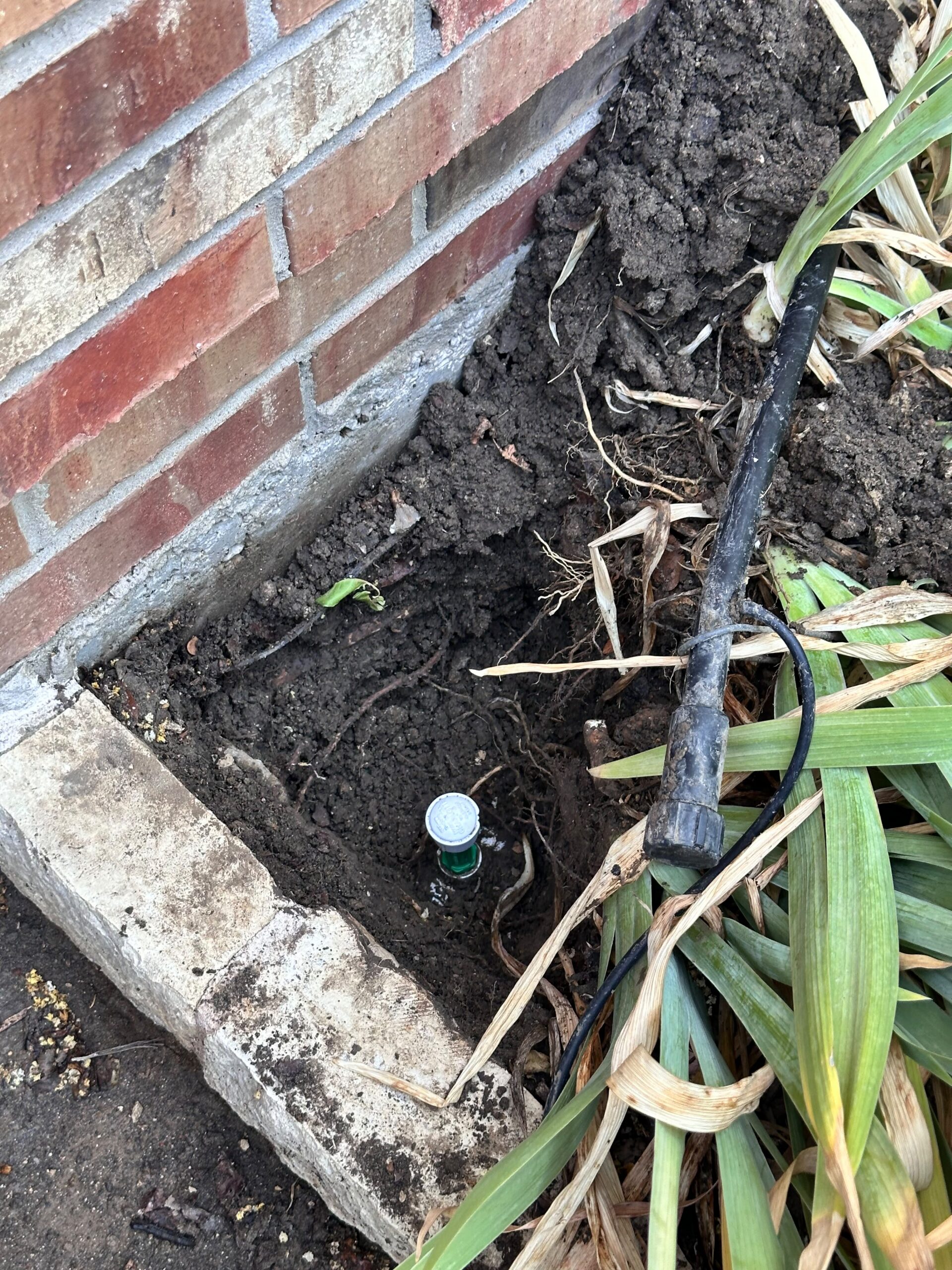 Drip Emitters in Celina TX