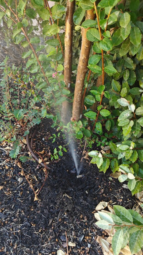 Drip Irrigation in Prosper TX