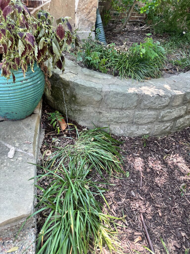 Flower Bed Irrigation in Frisco TX