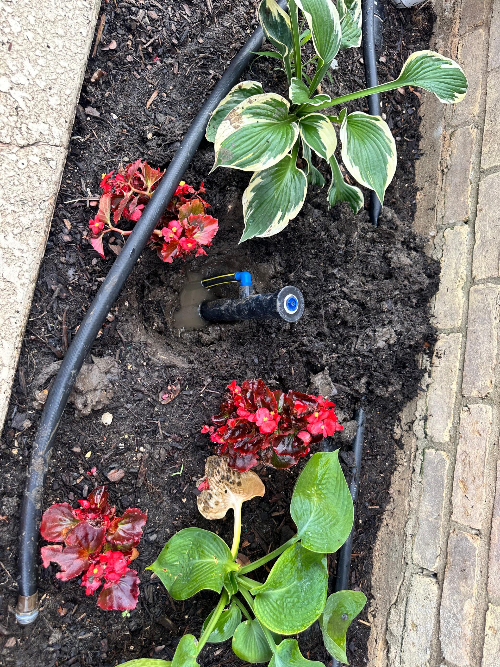 Flower Bed Irrigation in Lucas TX