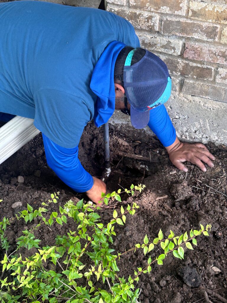 Midseason Inspection in Parker TX