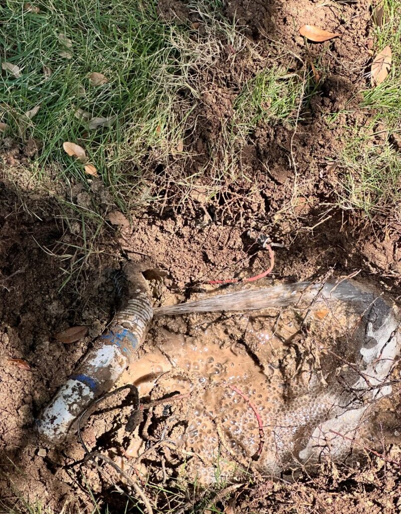 One Irrigation Leak in Wylie TX