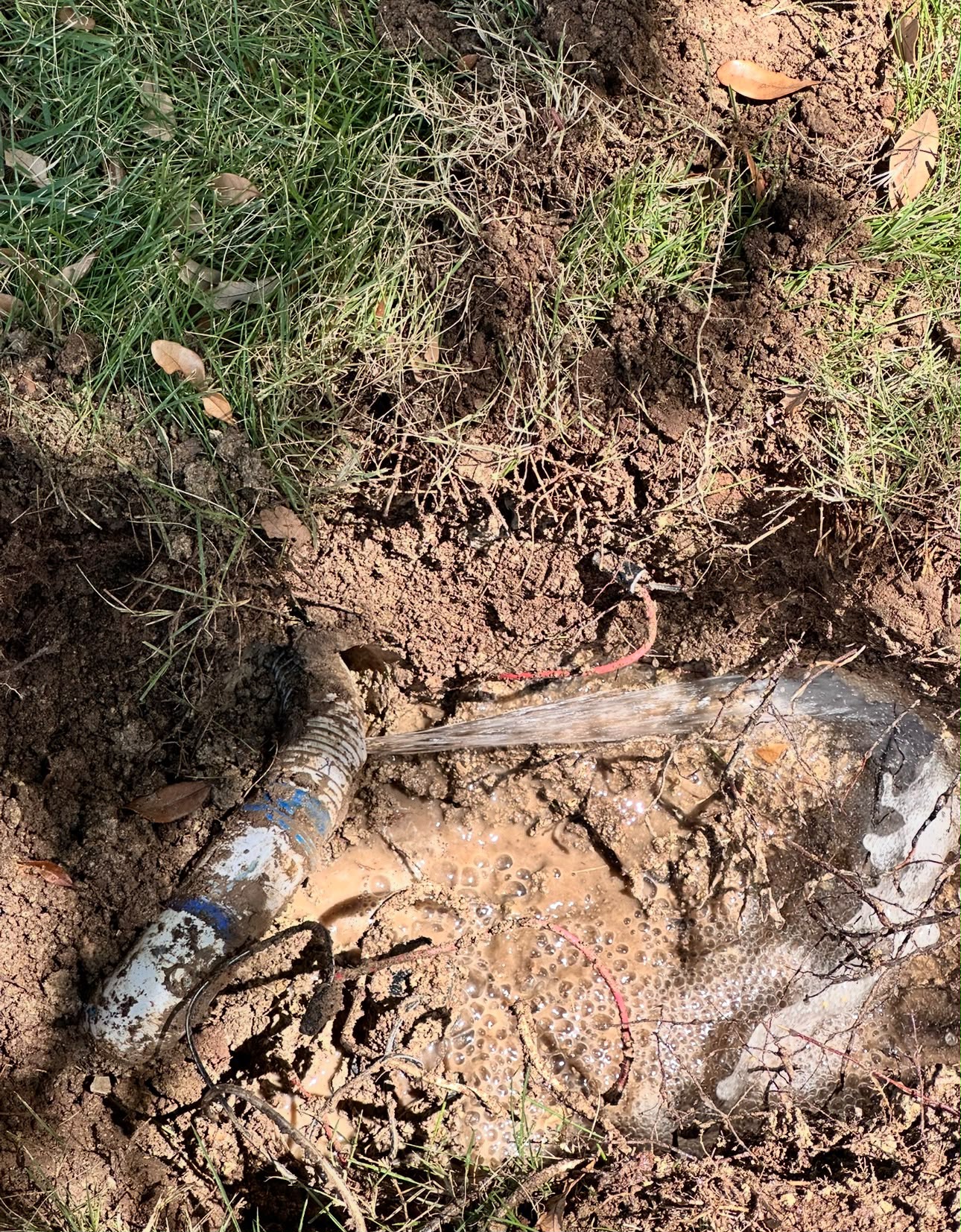 One Irrigation Leak in Wylie TX