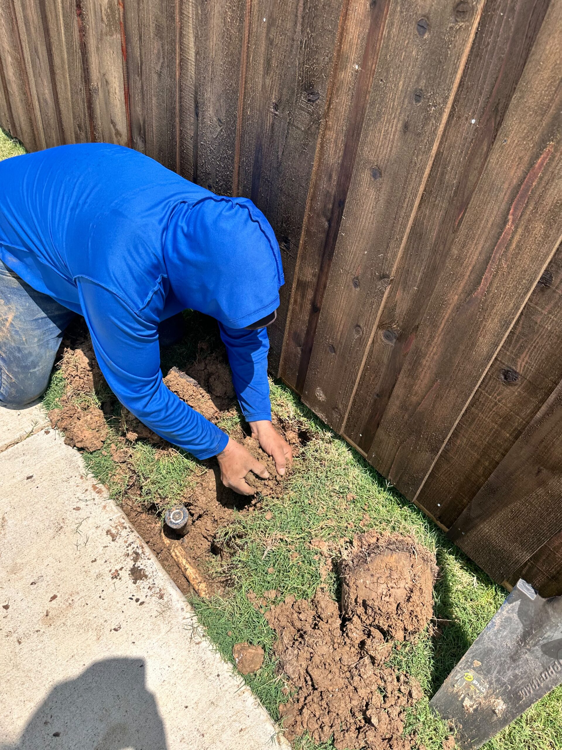 Sprinkler Coverage Tune-Up in McKinney TX