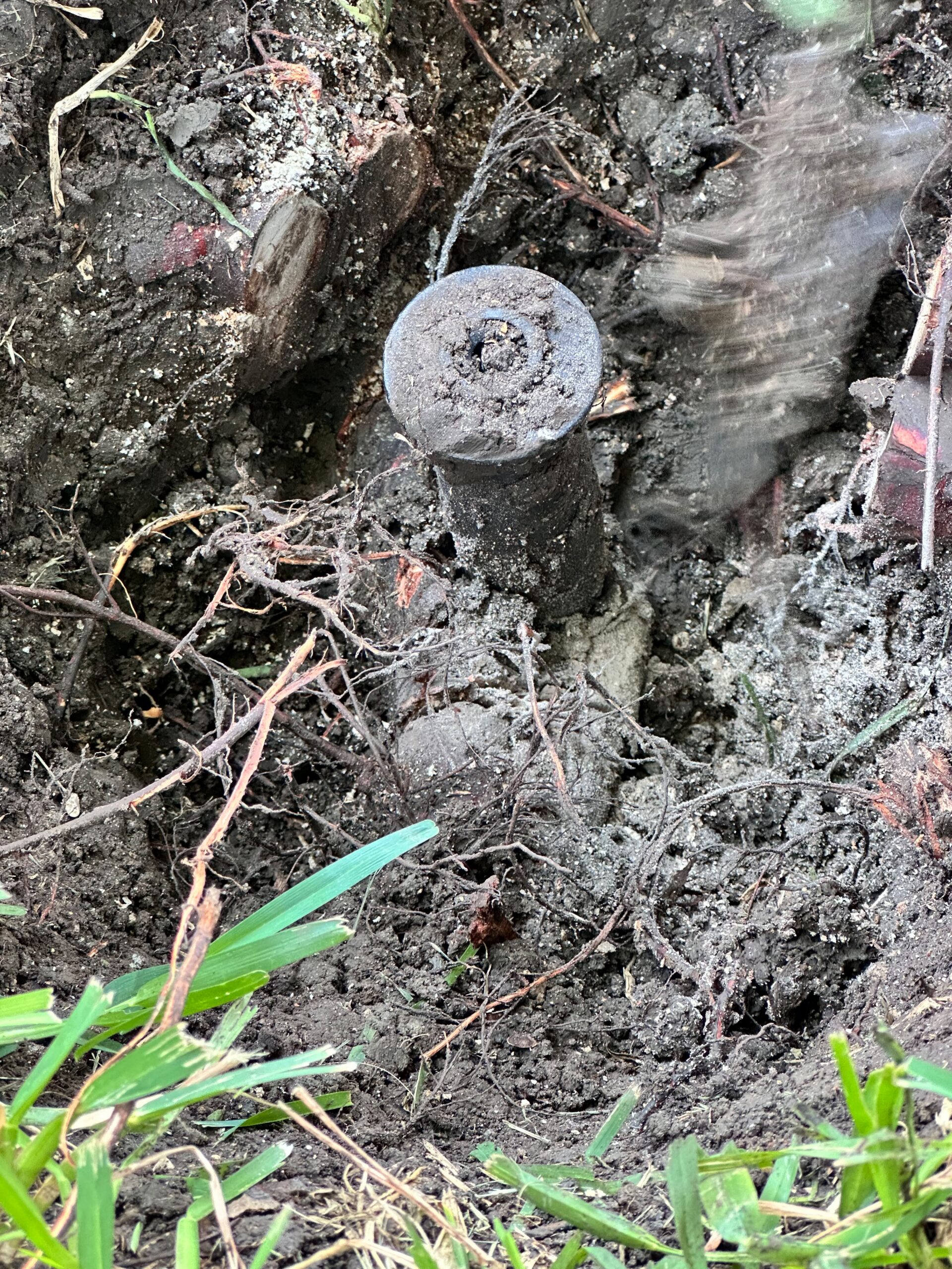 Sprinkler Head in Plano TX