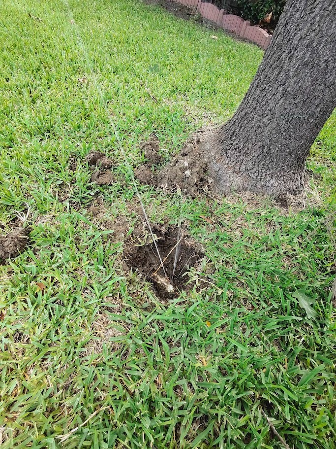 Sprinkler Nozzle in Oak Point TX