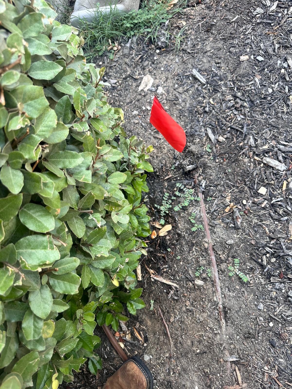 Irrigation Repairs in Allen TX