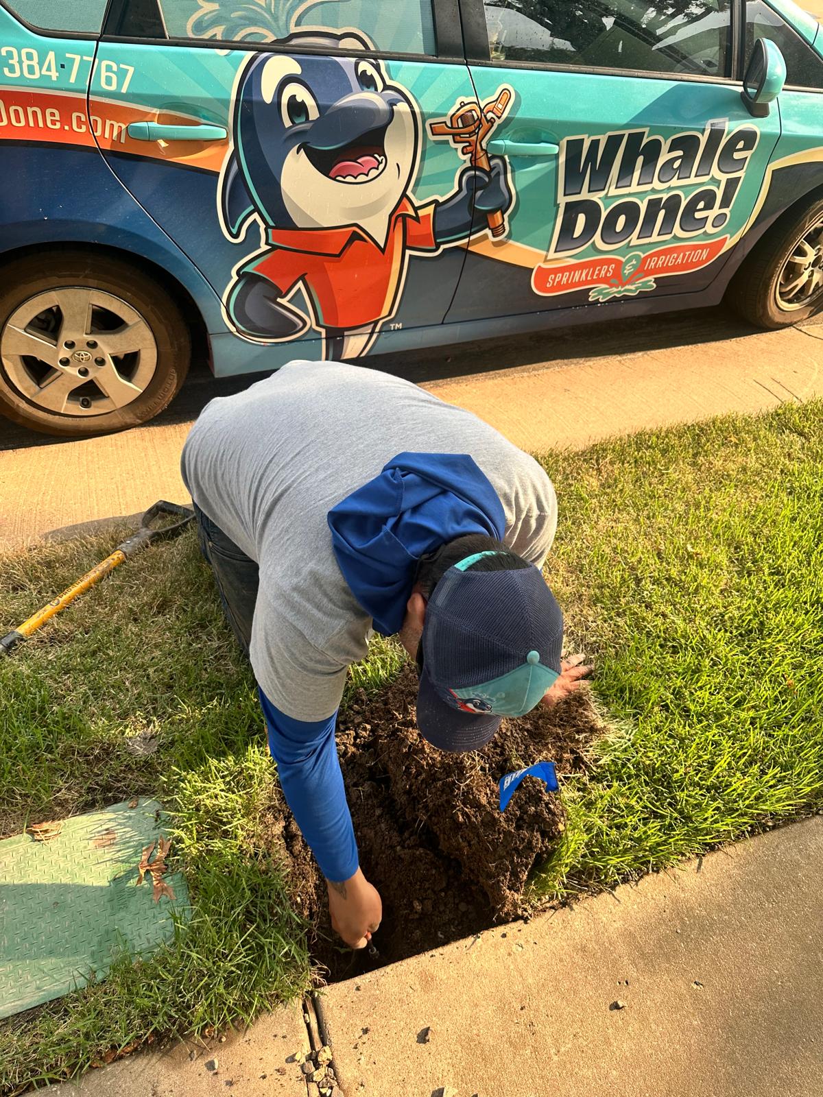 Seasonal Maintenance in McKinney TX