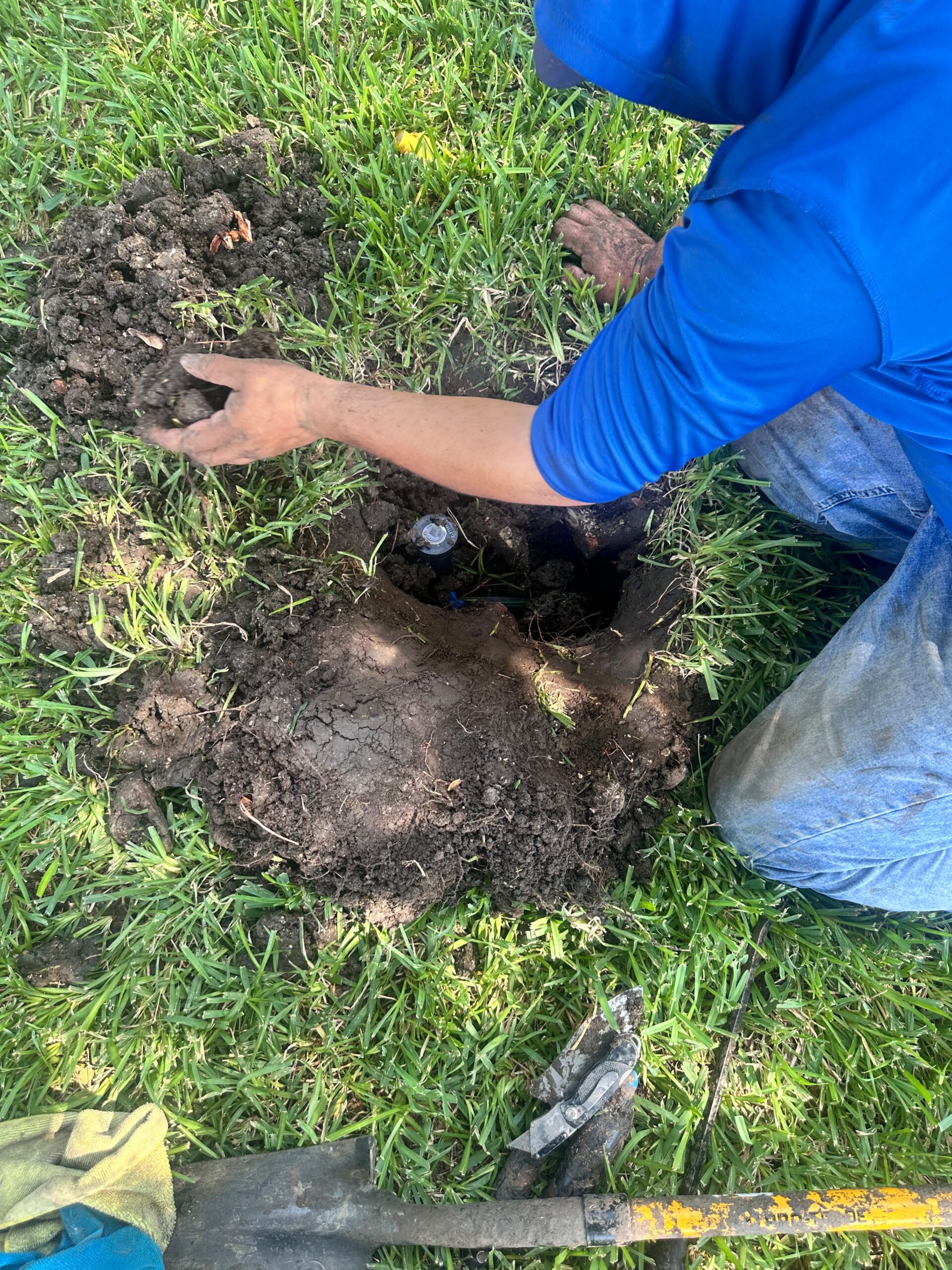 Seasonal Maintenance in Murphy TX