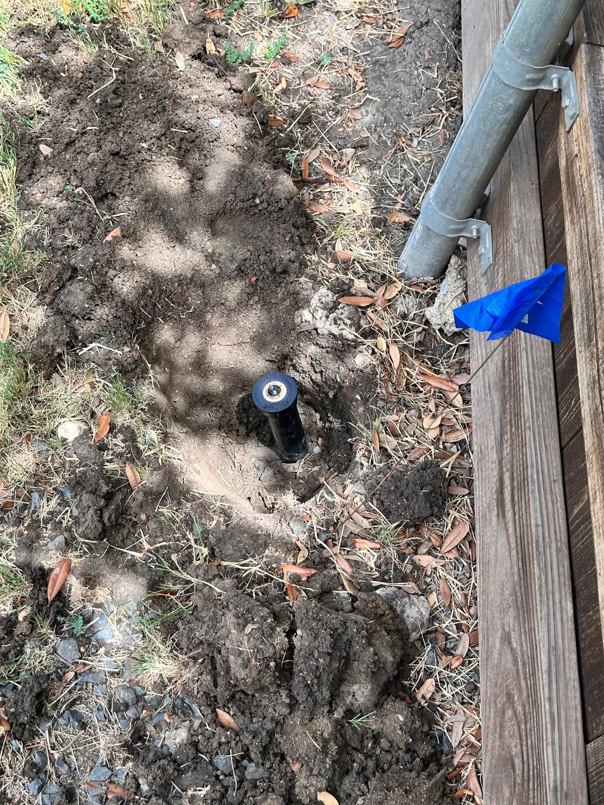 Sprinkler Head Repair In Prosper TX